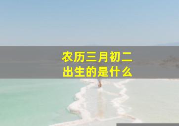 农历三月初二出生的是什么