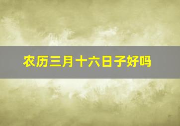 农历三月十六日子好吗