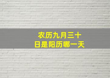 农历九月三十日是阳历哪一天