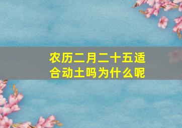 农历二月二十五适合动土吗为什么呢