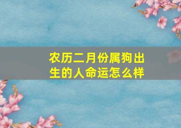 农历二月份属狗出生的人命运怎么样