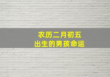 农历二月初五出生的男孩命运