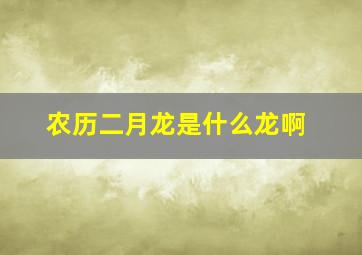 农历二月龙是什么龙啊