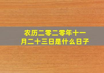 农历二零二零年十一月二十三日是什么日子