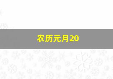 农历元月20