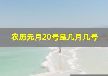 农历元月20号是几月几号