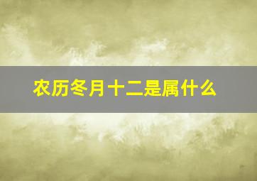 农历冬月十二是属什么