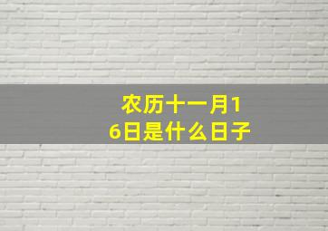 农历十一月16日是什么日子