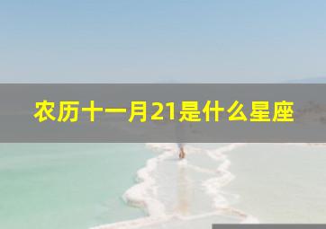 农历十一月21是什么星座