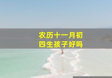 农历十一月初四生孩子好吗