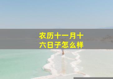 农历十一月十六日子怎么样