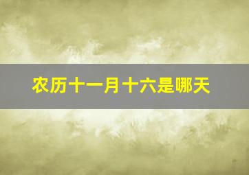 农历十一月十六是哪天