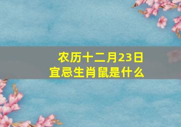 农历十二月23日宜忌生肖鼠是什么