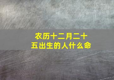 农历十二月二十五出生的人什么命