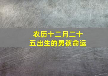 农历十二月二十五出生的男孩命运