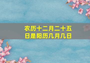 农历十二月二十五日是阳历几月几日