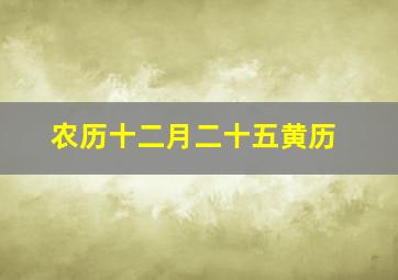 农历十二月二十五黄历