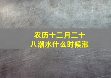 农历十二月二十八潮水什么时候涨