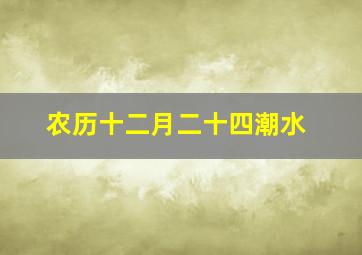 农历十二月二十四潮水