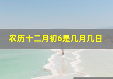 农历十二月初6是几月几日