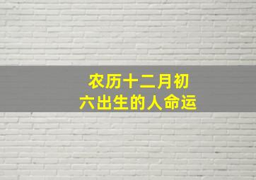 农历十二月初六出生的人命运