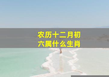 农历十二月初六属什么生肖