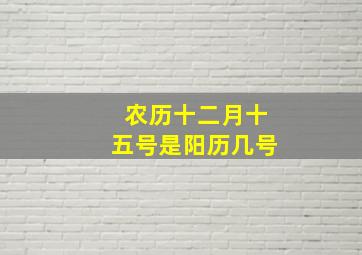 农历十二月十五号是阳历几号