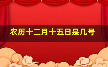 农历十二月十五日是几号