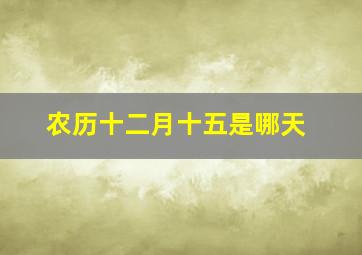 农历十二月十五是哪天