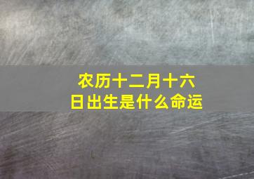 农历十二月十六日出生是什么命运