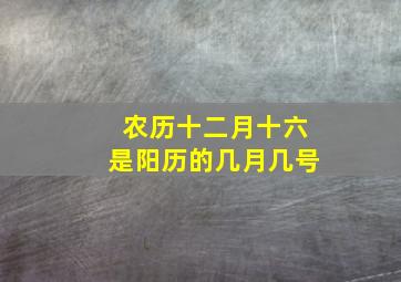 农历十二月十六是阳历的几月几号