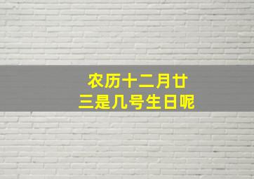 农历十二月廿三是几号生日呢