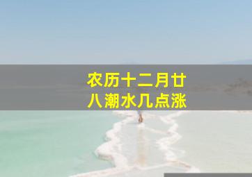 农历十二月廿八潮水几点涨