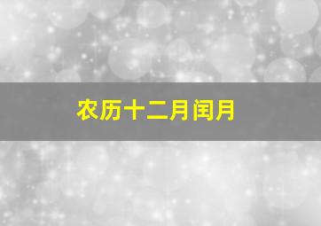 农历十二月闰月