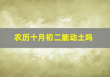 农历十月初二能动土吗