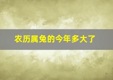 农历属兔的今年多大了