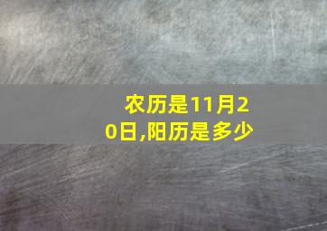 农历是11月20日,阳历是多少