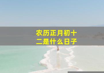 农历正月初十二是什么日子