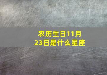 农历生日11月23日是什么星座