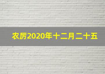 农厉2020年十二月二十五