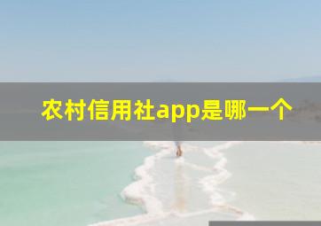 农村信用社app是哪一个