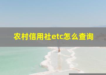 农村信用社etc怎么查询