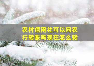 农村信用社可以向农行转账吗现在怎么转