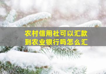 农村信用社可以汇款到农业银行吗怎么汇