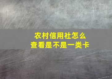 农村信用社怎么查看是不是一类卡