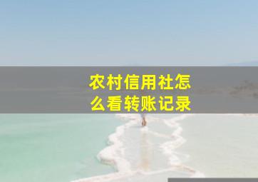 农村信用社怎么看转账记录