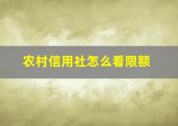 农村信用社怎么看限额