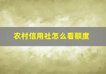 农村信用社怎么看额度