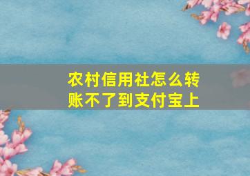 农村信用社怎么转账不了到支付宝上