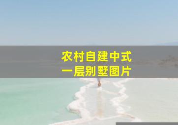 农村自建中式一层别墅图片